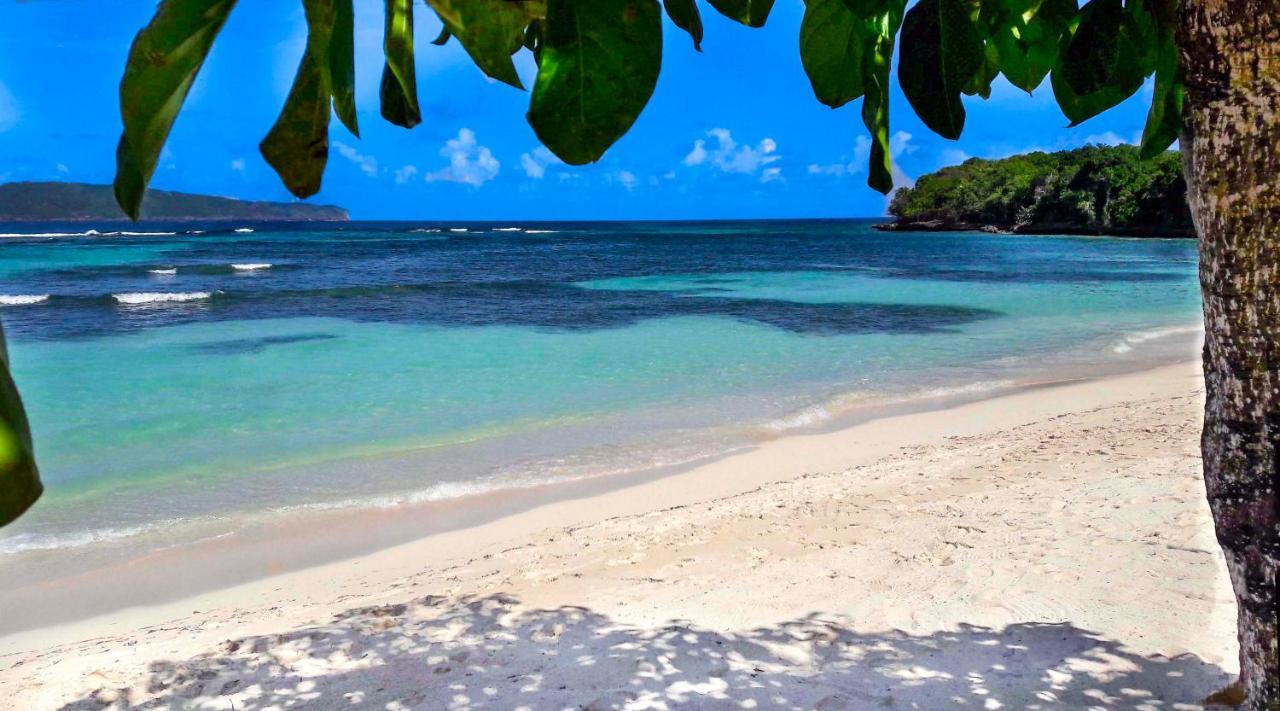 El Pelicano Apart-Hotel Las Galeras Zewnętrze zdjęcie